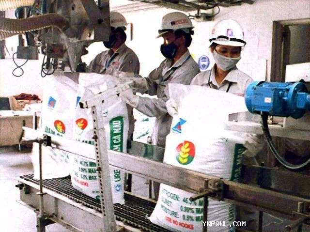 东南亚国家在化肥方面不同有着的进口需求